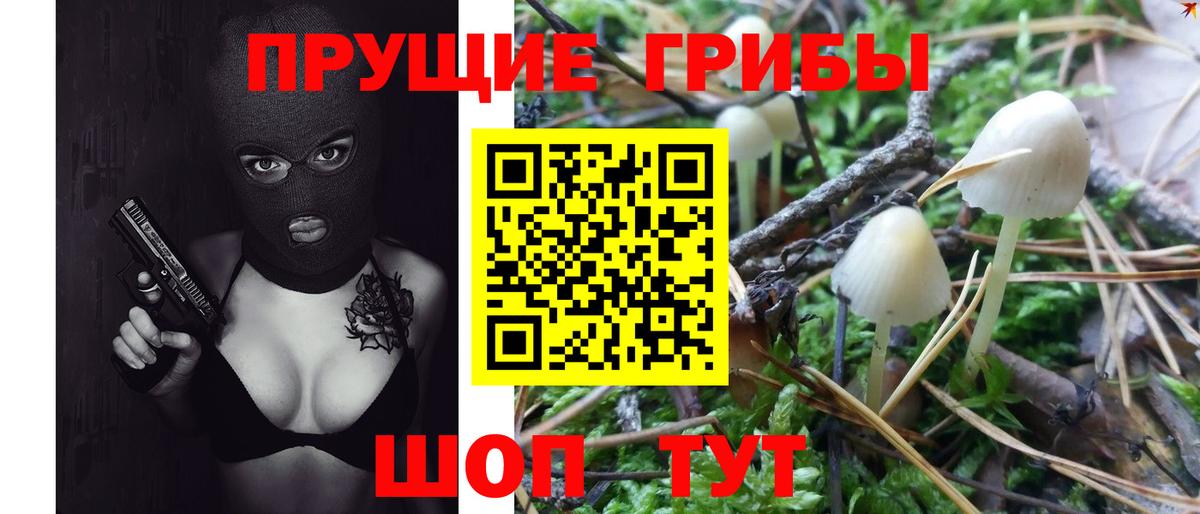 Псилоцибиновые грибы прущие грибы Заинск
