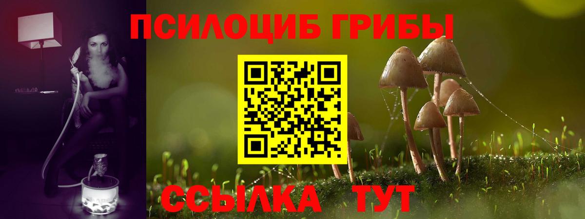 Заинск  Псилоцибиновые грибы Magic Shrooms  Вход с VPN  хочу наркоту  Псилоцибиновые грибы Psilocybe 